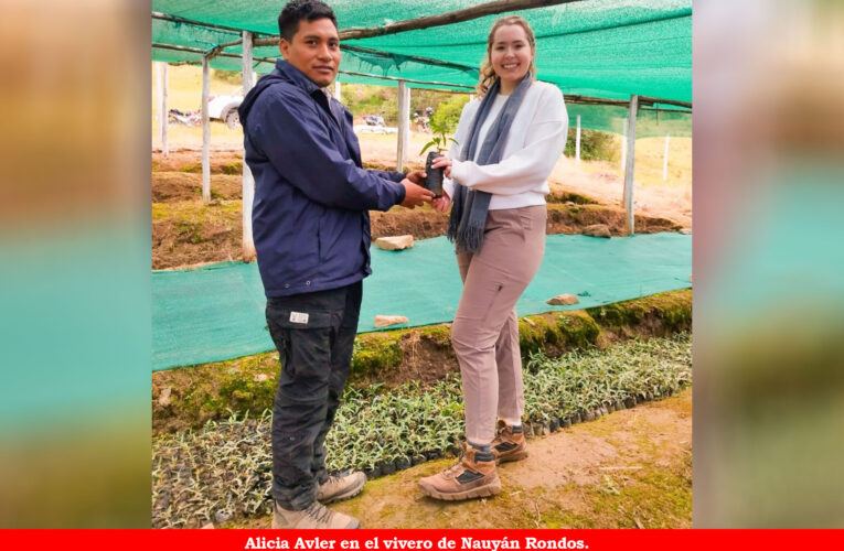 Estadounidense investiga restauración ecológica con especies nativas en Huánuco