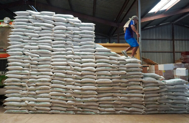 DRA recibe abono orgánico para cultivos de papa en 6 provincias