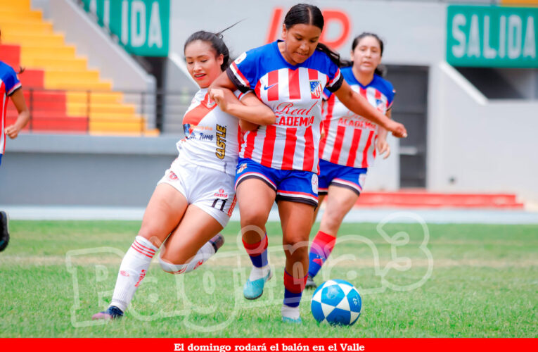 Liga de Ascenso Femenina a la vista