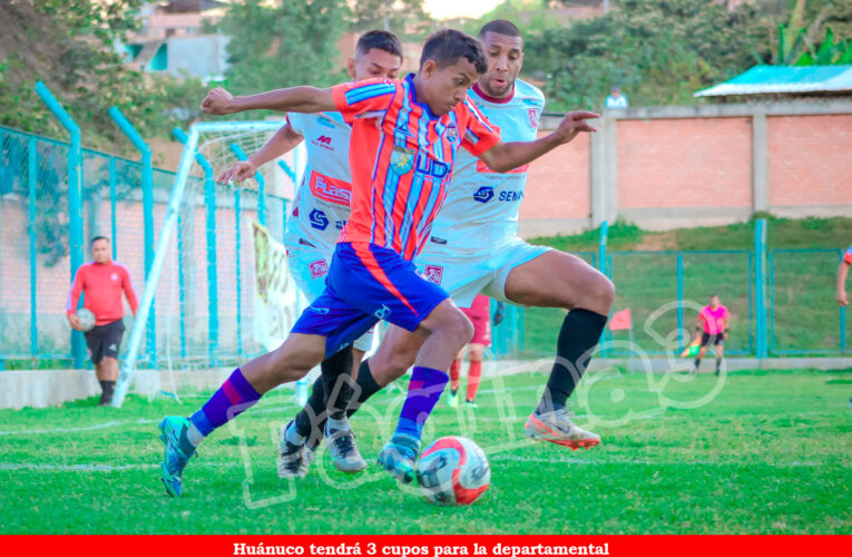 Huánuco, Ambo, Leoncio Prado y Tocache tendrían 3 cupos