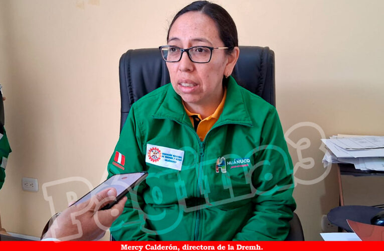 A fines de año iniciaría construcción de centrales hidroeléctricas en Huamalíes, Dos de Mayo y Yarowilca