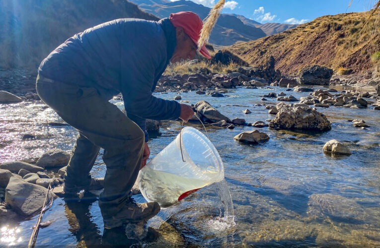 Hoy inicia veda de pesca de trucha en ríos y lagunas de Huánuco