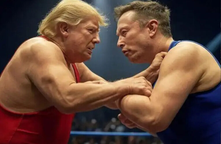 Trump versus Musk