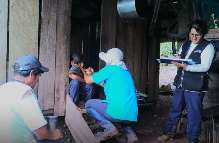 Huánuco en primer  lugar en vacunación contra la fiebre amarilla