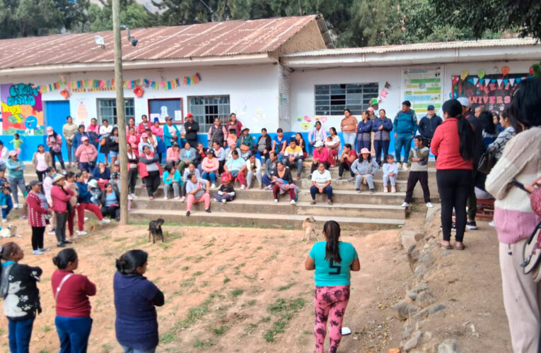Por confundir motoniveladora con rodillo, arruinaron césped recién plantado en colegio